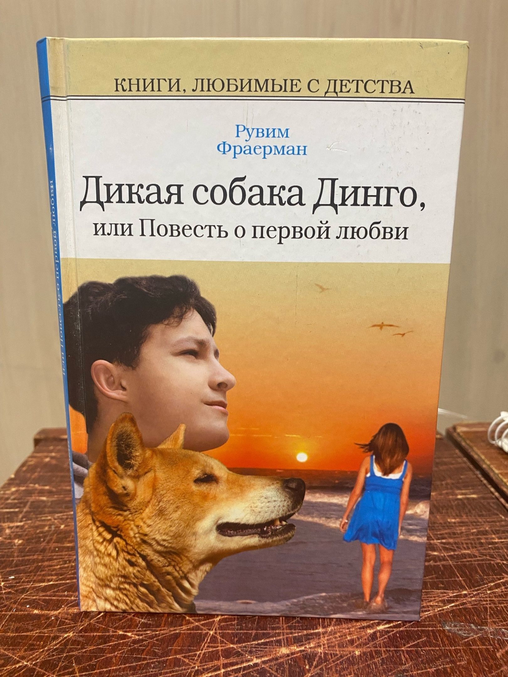 Фраерман дикая собака динго читать краткое содержание