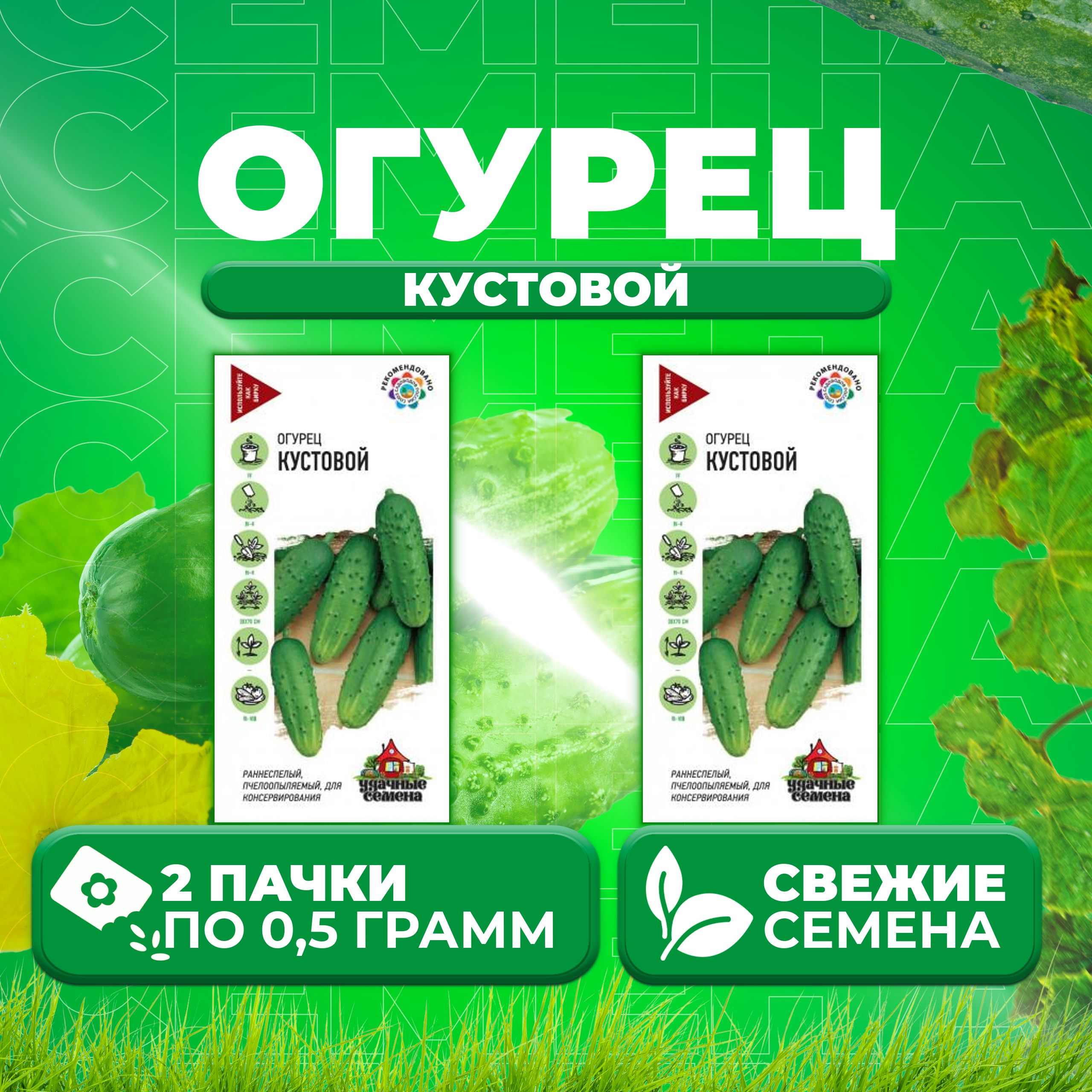 Купить Семена Огурцов Кустовой