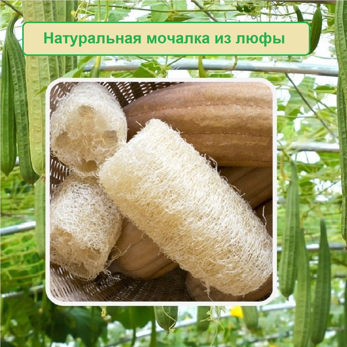 Мыло из основы с люфой – рецепт с фото пошагового приготовления