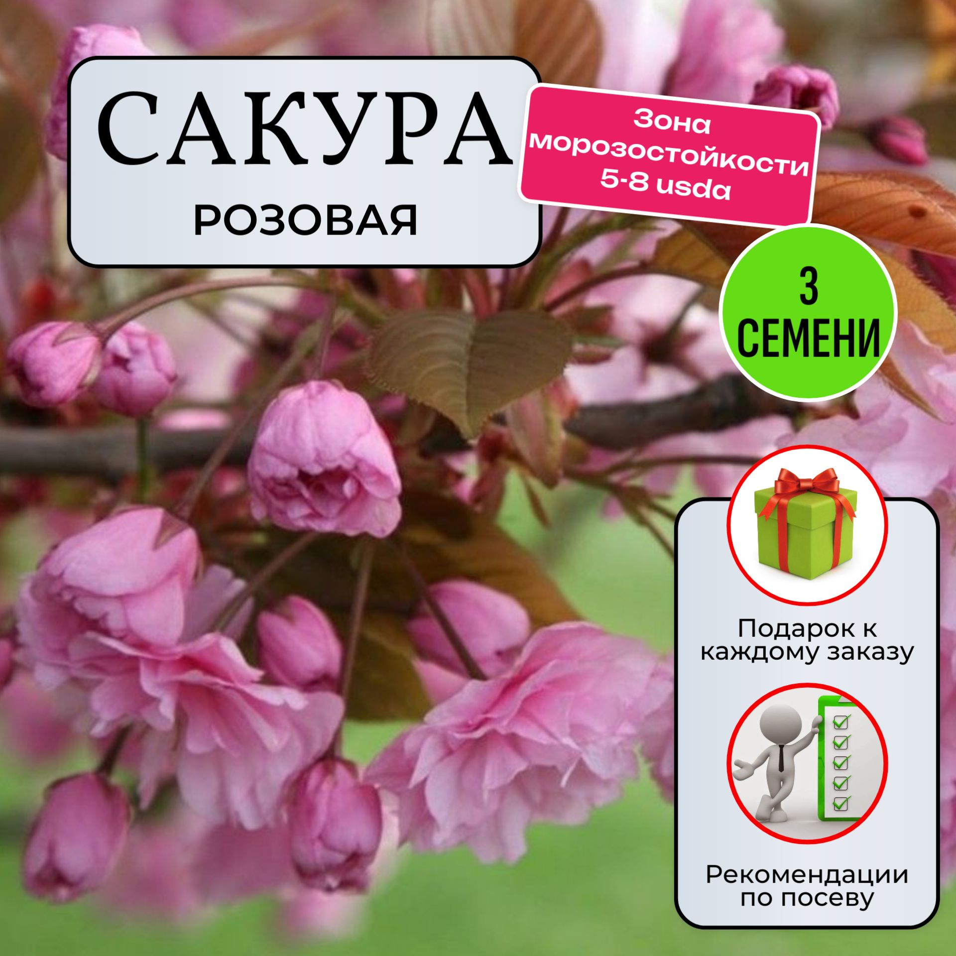 Семена Сакура купить на OZON по низкой цене