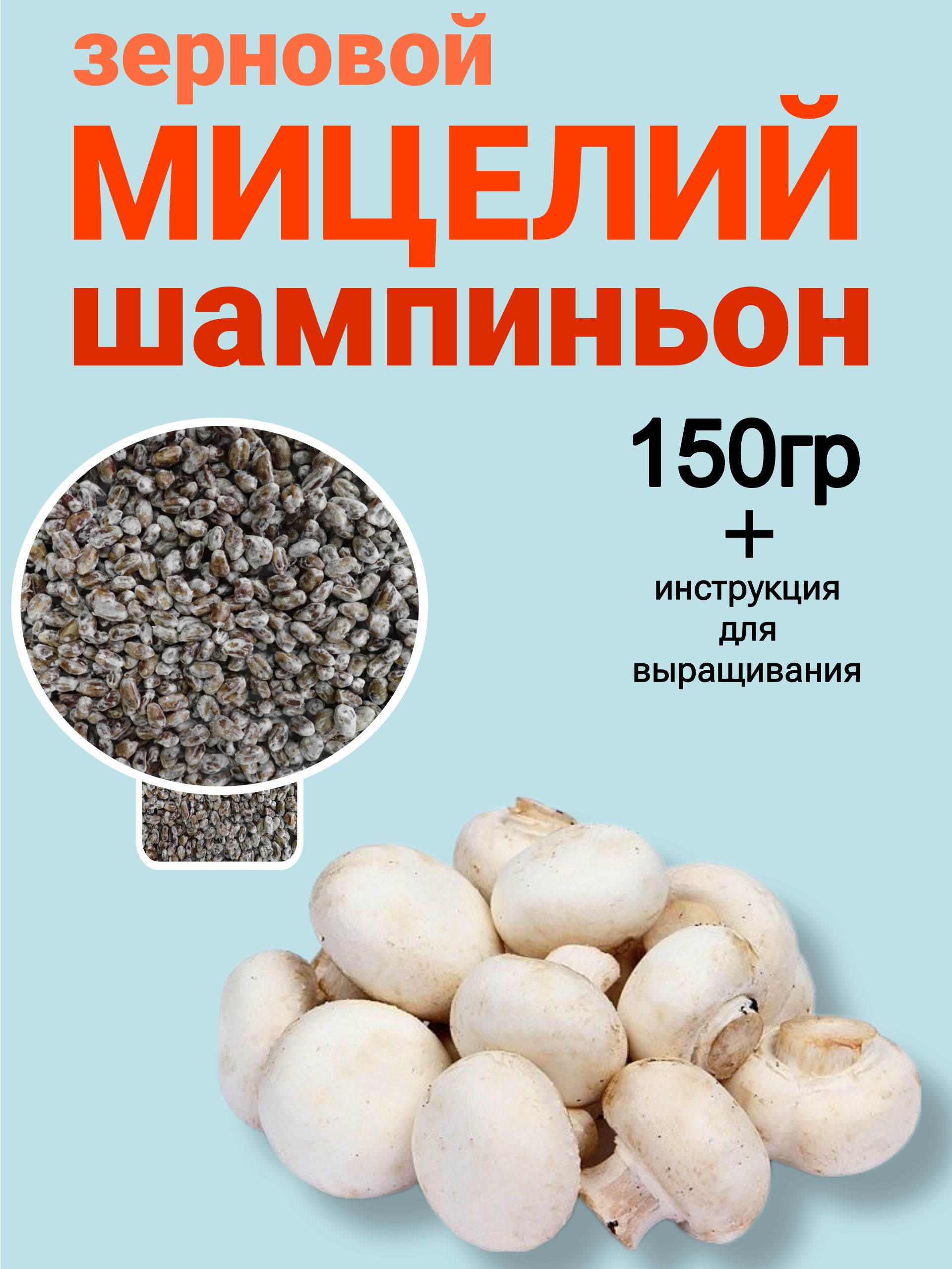 зерновой мицелий грибов для выращивания шампиньонов 150гр - купить по  выгодным ценам в интернет-магазине OZOZN (1347173073)