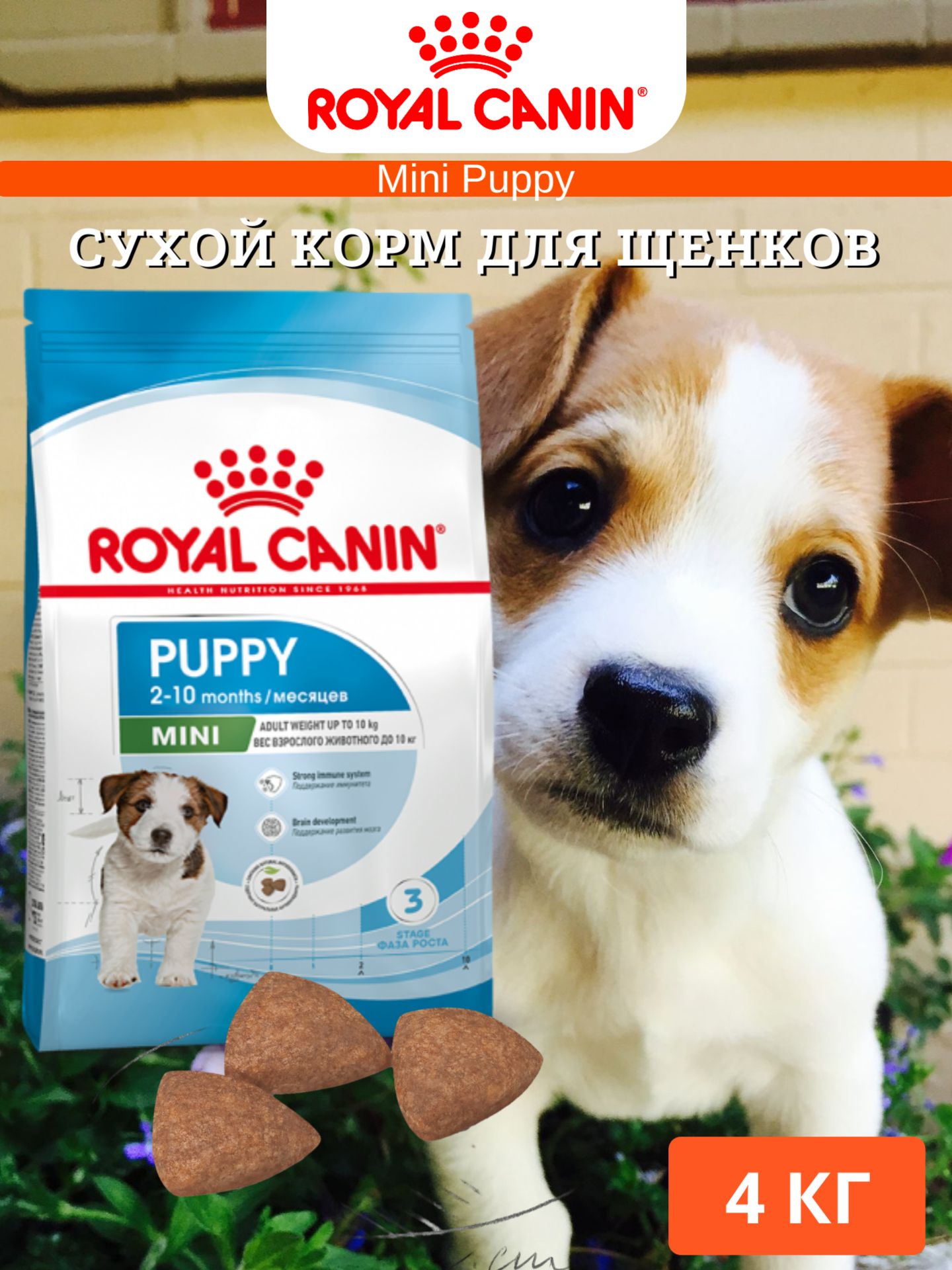 Royal Canin Mini Puppy Сухой корм для щенков 4кг