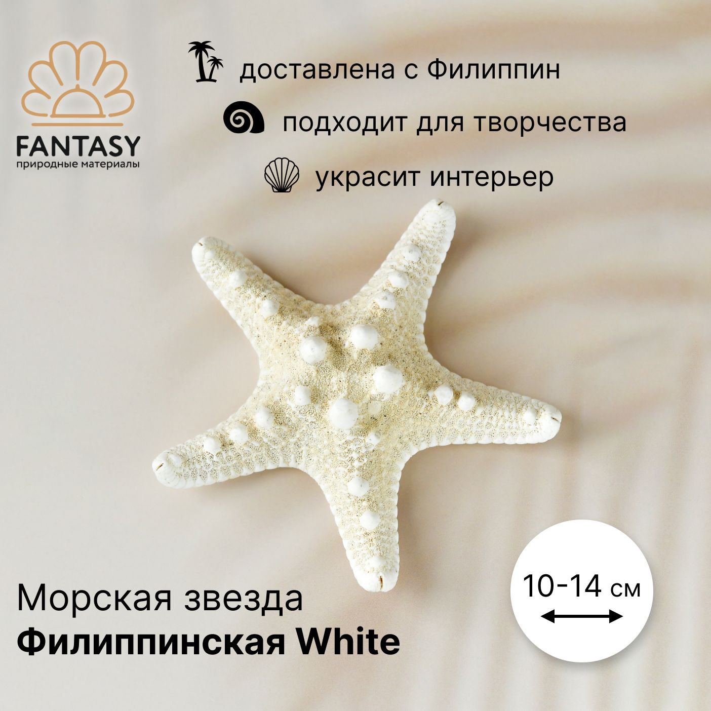 Натуральная морская звезда FANTASY Филиппинская White, 10-14 см, 1 шт.