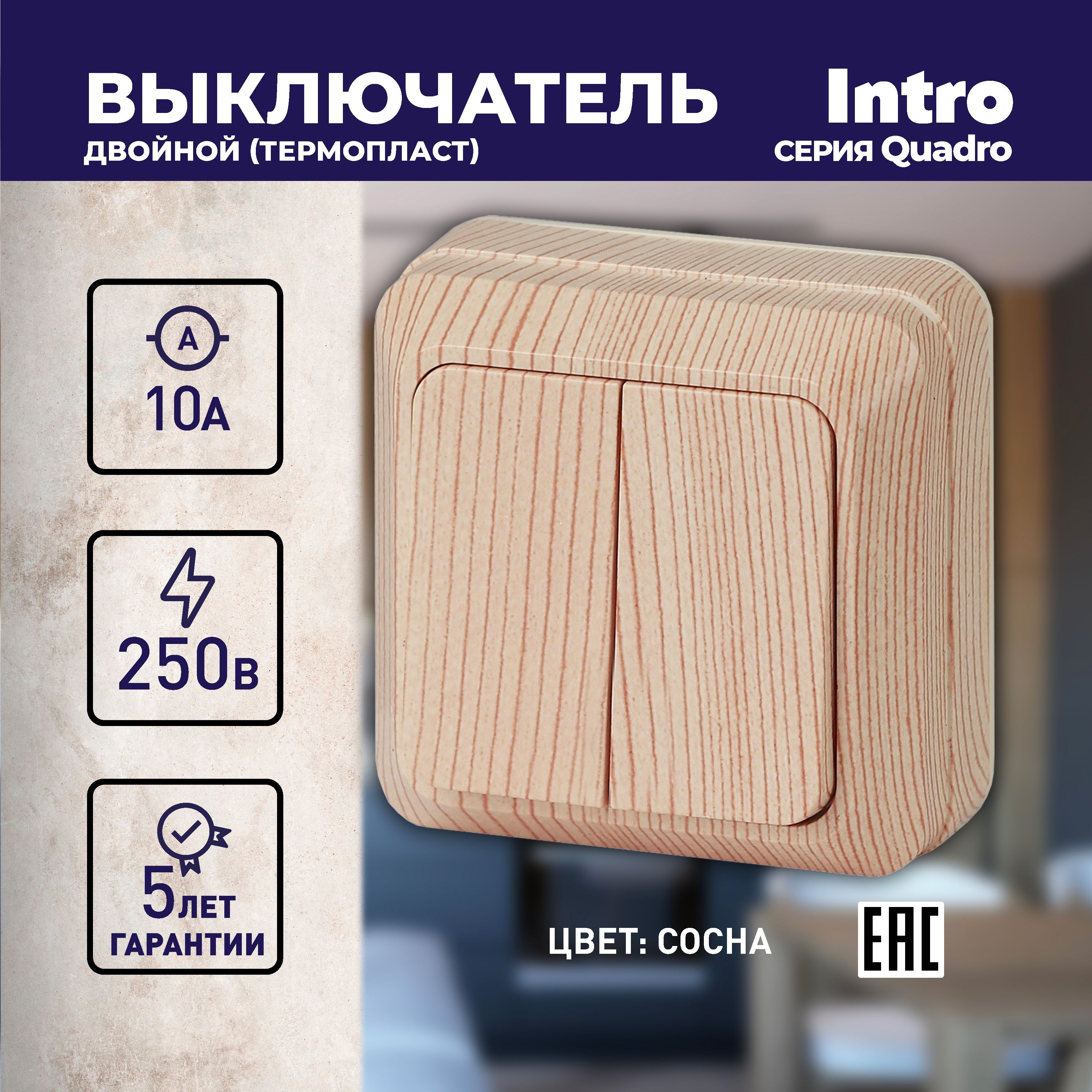 ВыключательIntroQuadro2-104-11двухклавишный10А-250ВIP20ОУсосна