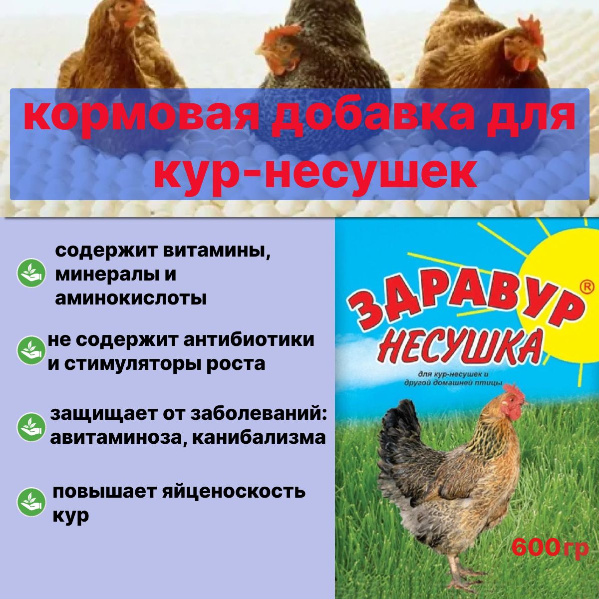 Купить Кур Несушек В Алтайском Крае