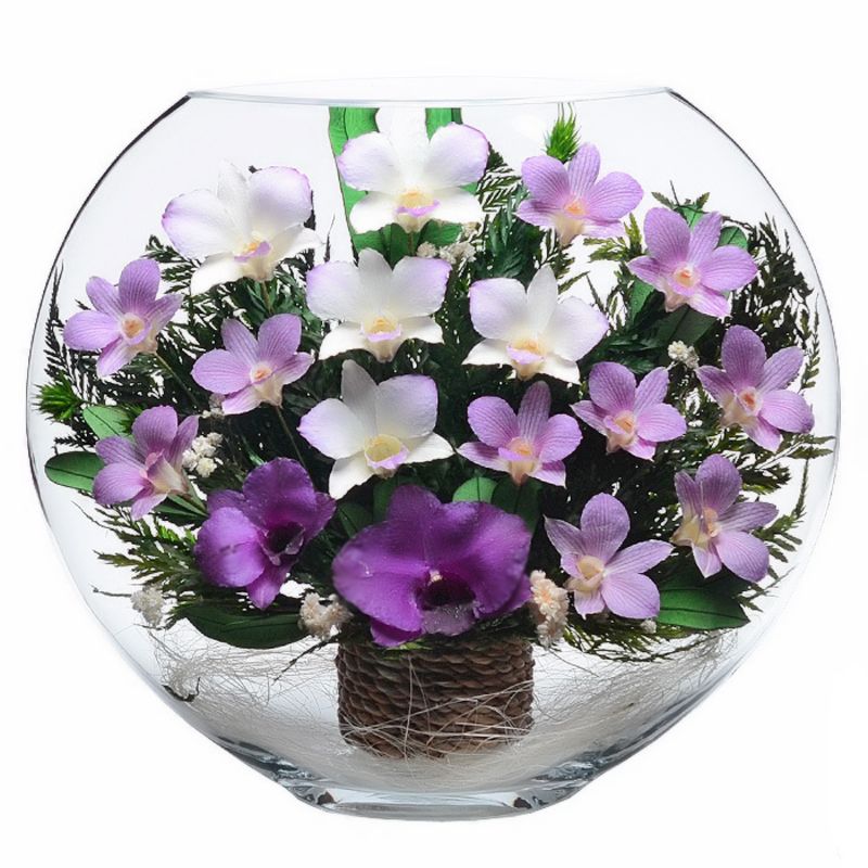 Орхидея в капсуле как ухаживать. Цветы в стекле ~ вакуум. Орхидеи в стеклянных вазах. Композиция из орхидеи в стекле. Орхидея в подарок.