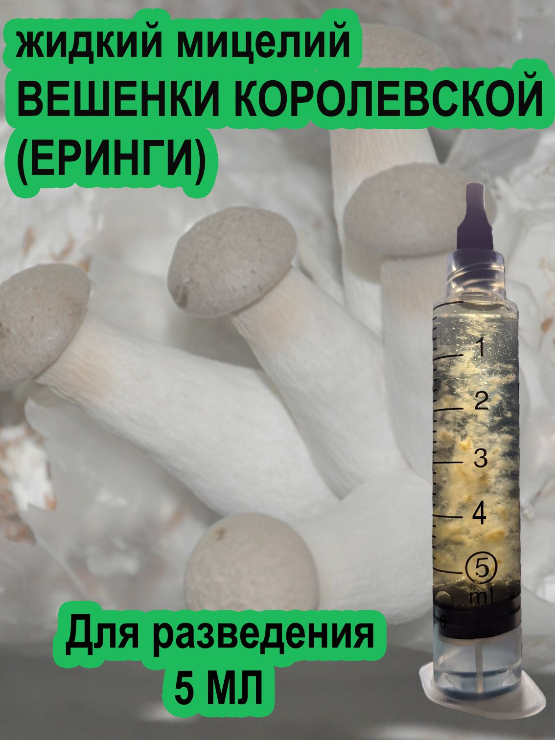 Жидкий мицелий Вешенки королевской. Еренги. (Pleurotus eryngii)