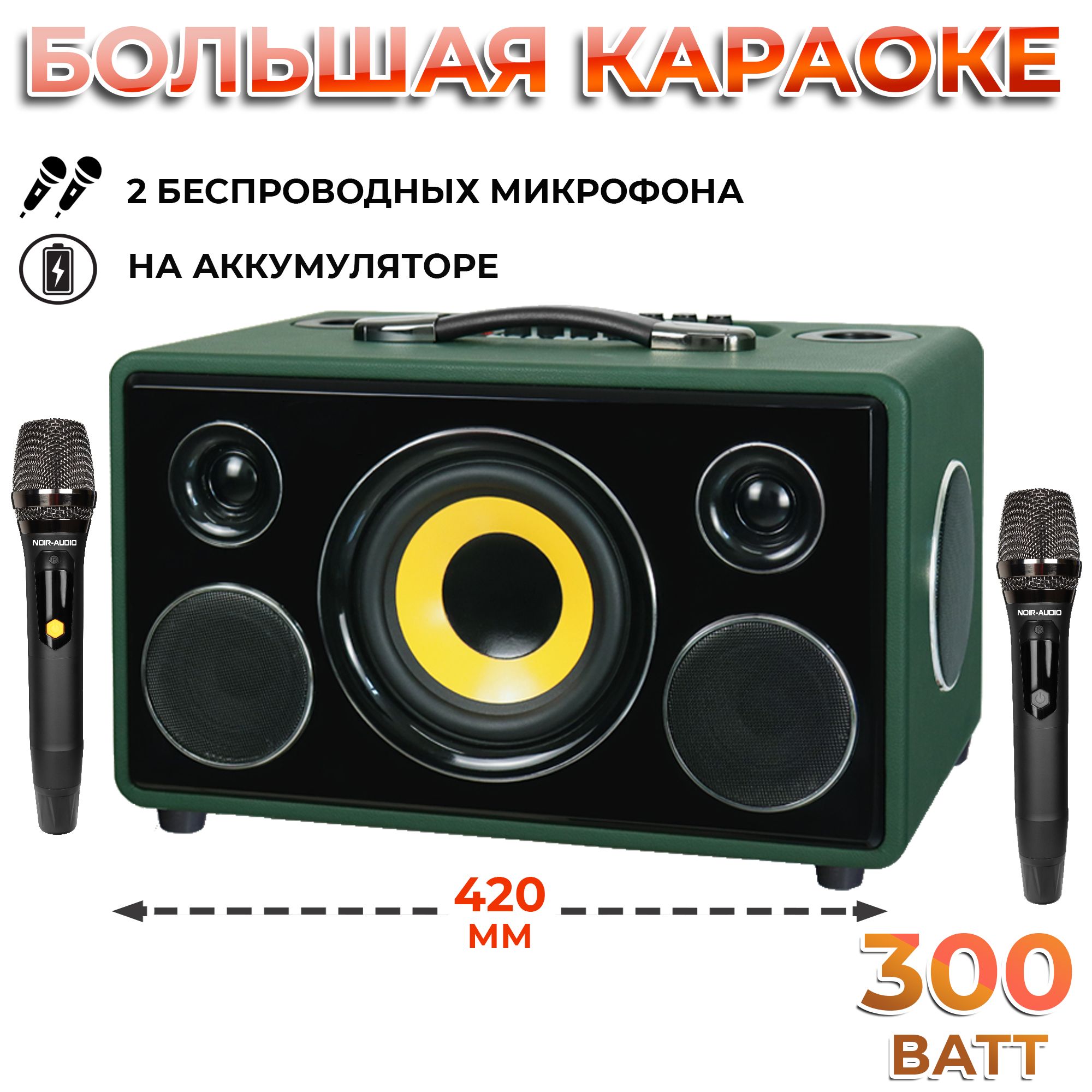 КараокесистемаNOIR-audioMAX-300сдвумябеспроводнымимикрофонамииакустикой