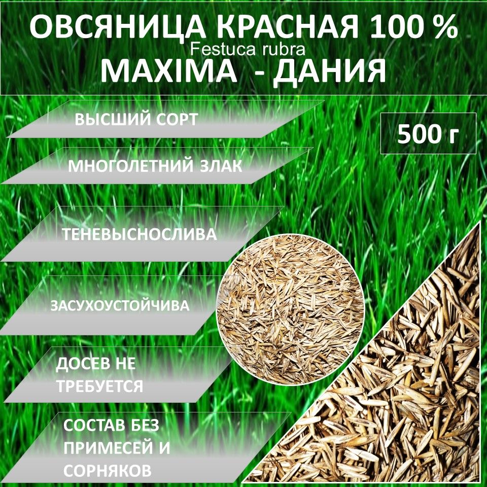 Газон 100 % Овсяница красная MAXIMA МАКСИМА 1. 500 гр газонная трава семена