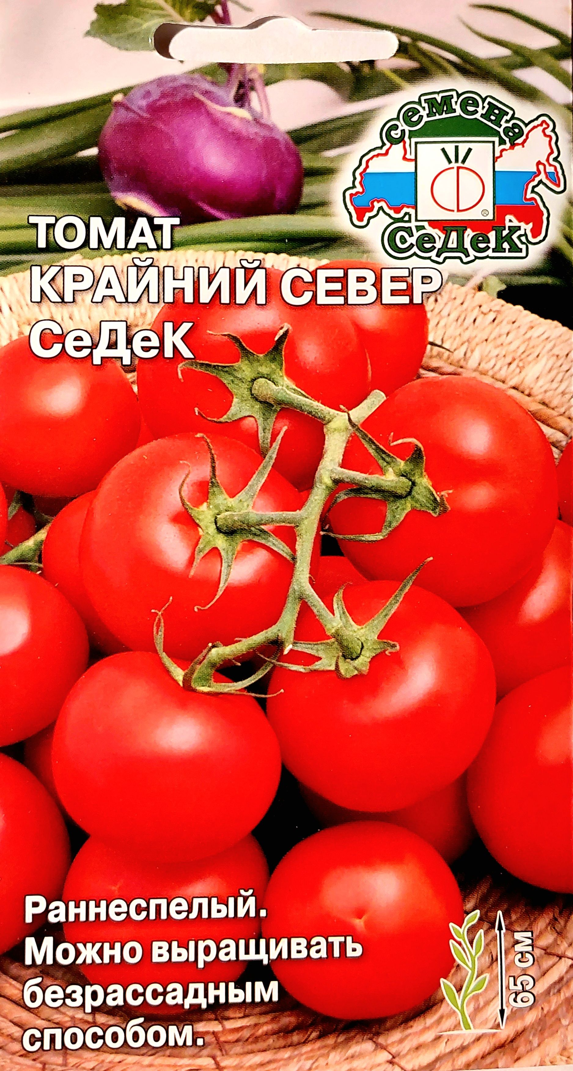 Томат север отзывы фото