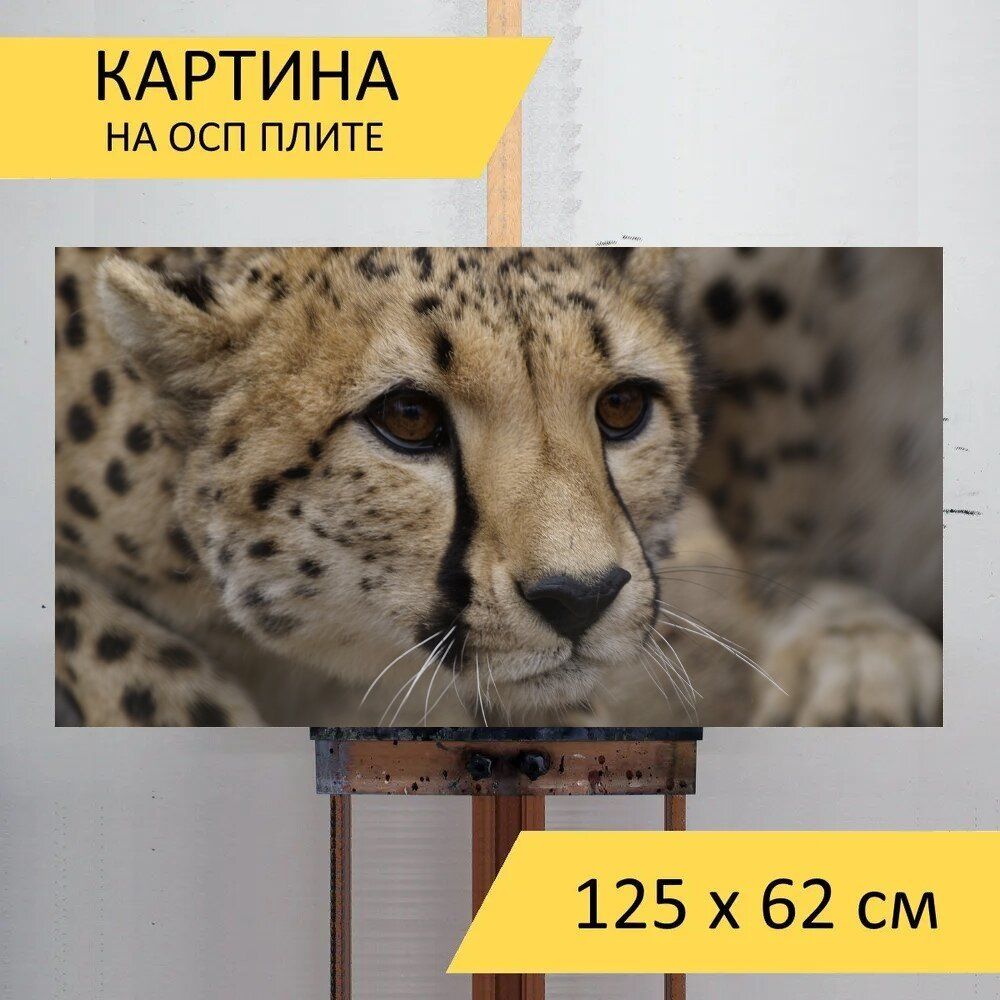 Картина пустыни 