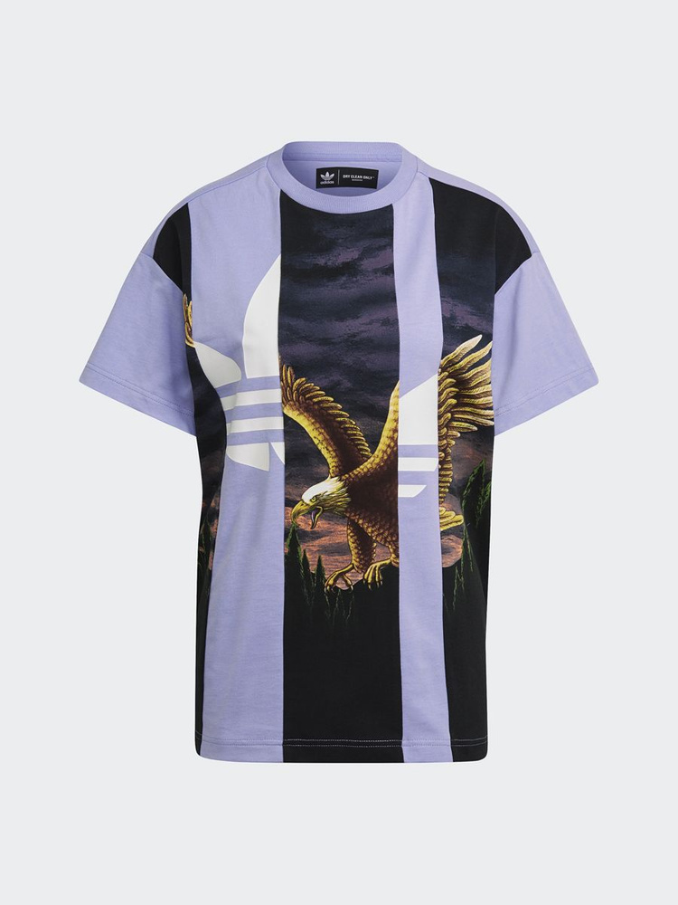 Футболка adidas Originals Graphic Tee #1