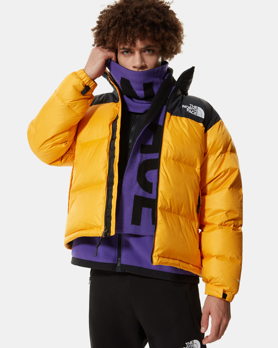 the north face m