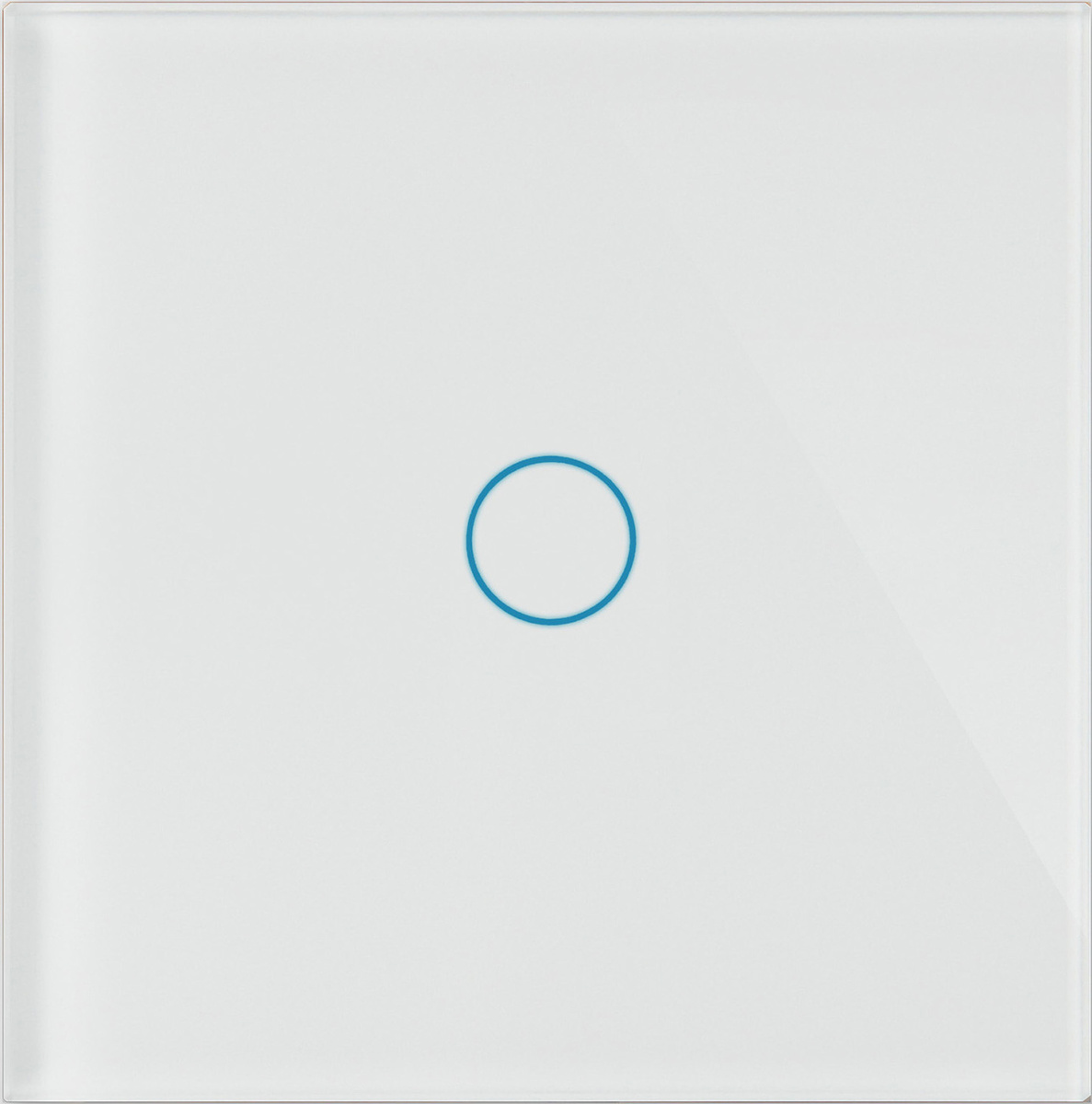 Выключатель CGSS монтаж Скрытый - купить в интернет-магазине OZON с ...