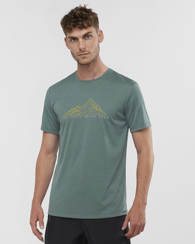 salomon agile graphic tee