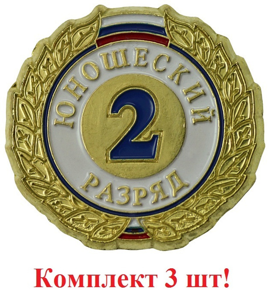 Значок II разряд юношеский ZRJ-II - купить с доставкой по выгодным ...