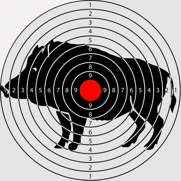 Мишень для стрельбы из воздушки: как правильно целиться …