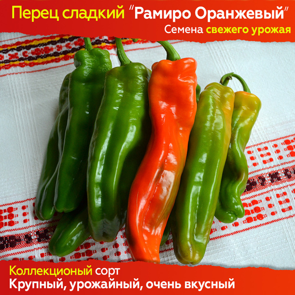 Перец сорт рамиро фото