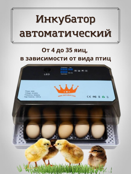 Инкубатор автоматический для яиц разных видов птиц - купить с доставкой ...