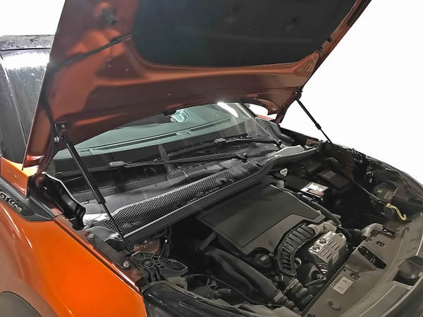 Упоры капота для PEUGEOT 2008, 2020-, к-т 2 шт / Пежо - Arbori арт ...