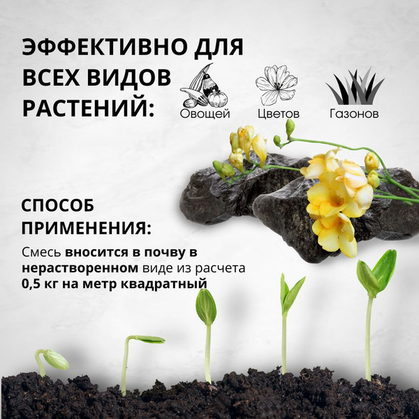 Комплекс микроэлементов для растений и рассады из шунгит-доломитовой ...