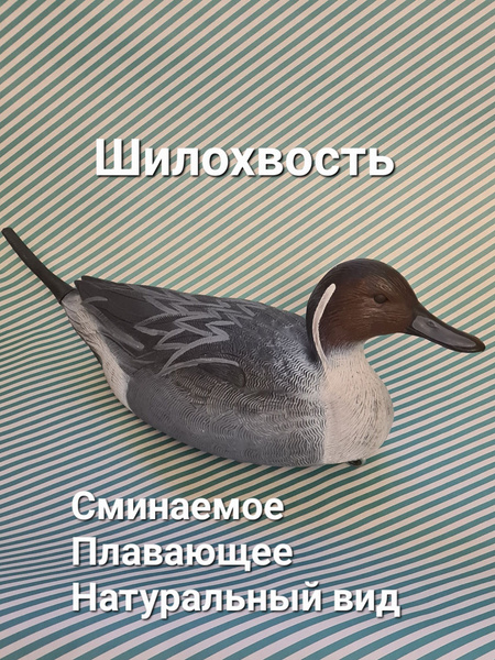 Чучело для охоты Шилохвость, подсадная утка, садовая фигура для пруда ...