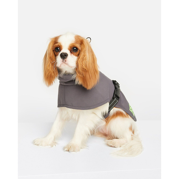 Попона для собак Zoozavr серая 40 - купить с доставкой по выгодным ...