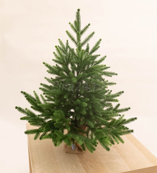 Искусственная Ель Царь Елка Инфинити 60 см 3D купить на OZON по низкой ...