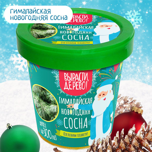 Набор для выращивания Вырасти, Дерево!, Сосна, Многолетник купить по ...