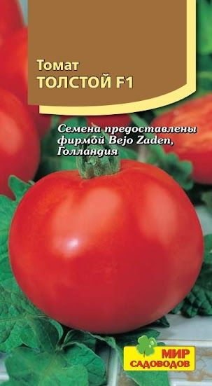 Купить томаты толстой. Томат толстой f1. Томат толстой семена. Толстый Барон томат. Jinkelifeng семена отзывы садоводов томат жёлтый.