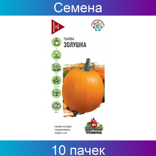 Тыква золушка описание сорта. Тыква золушка описание сорта