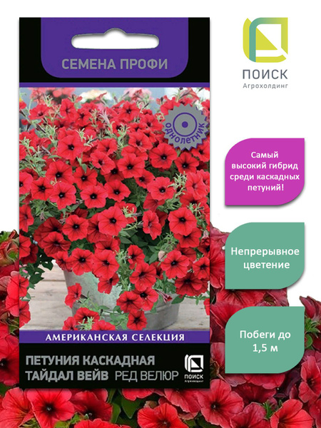Петунии ПОИСК Агрохолдинг Петуния каскадная Тайдал Вейв Парпл_красный ...