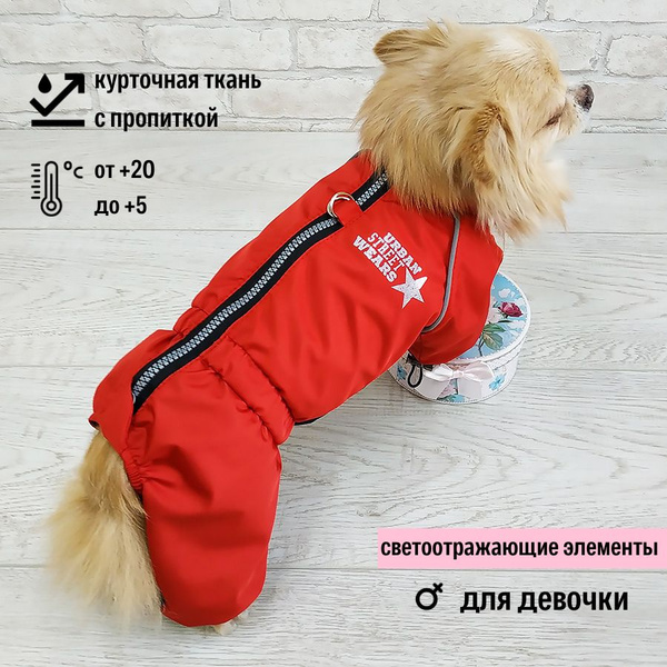 Дождевик для собачки (для девочки) "Dilai" REDLY с застёжкой на спине ...
