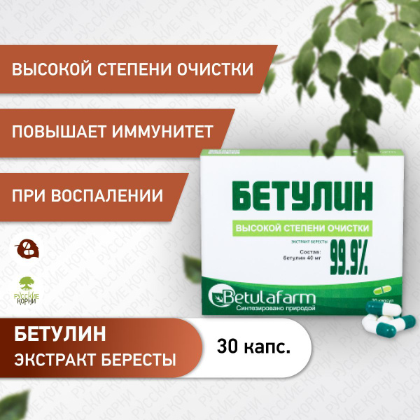 Betulafarm, Бетулин высокой степени очистки (99,9%), капсулы 30 шт ...
