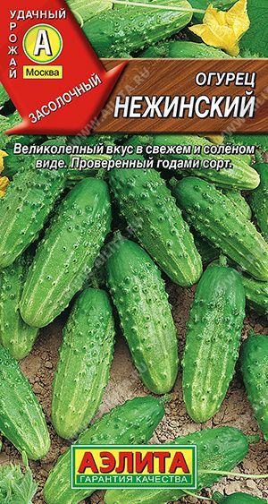 Огурцы Аэлита огурец аэлита_зеленый_темно-зеленый_Нежинский - купить по ...