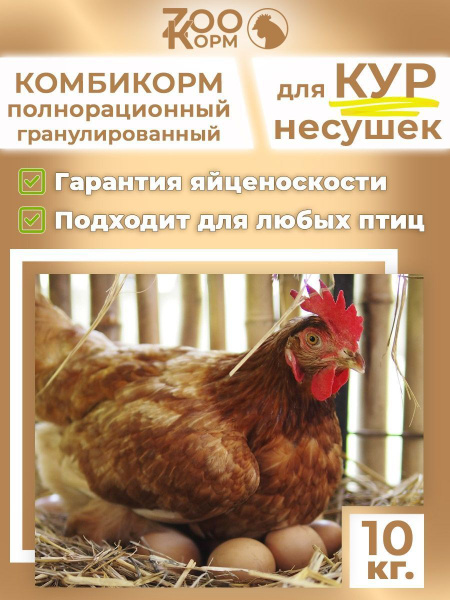 Комбикорм для кур-несушек 10кг полнорационный гранулированный - купить ...