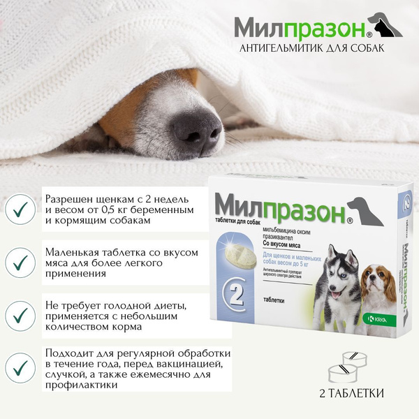 Милпразон антигельминтик для щенков и маленьких собак до 5 кг, таблетки ...