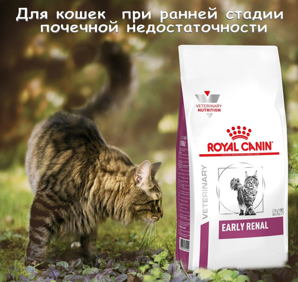 ROYAL CANIN EARLY RENAL для взрослых кошек всех пород при ранней стадии ...