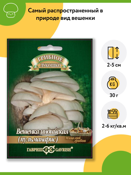 Гриб Вешенка (пульманарис) Индийская (1 упаковка - 12 шт). Семена ...