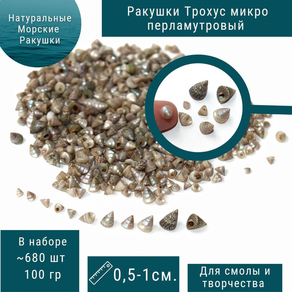 Мелкие ракушки Трохус микро перламутровый 100гр для эпоксидной смолы ...