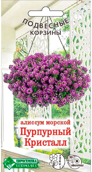 Алиссумы Евросемена Алиссум - купить по выгодным ценам в интернет ...