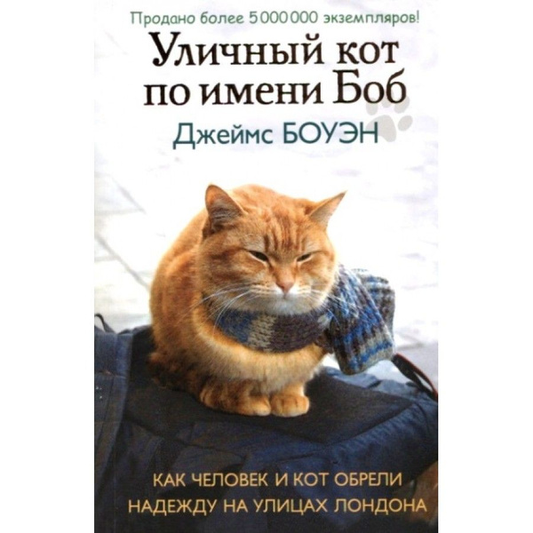 Уличный кот боб