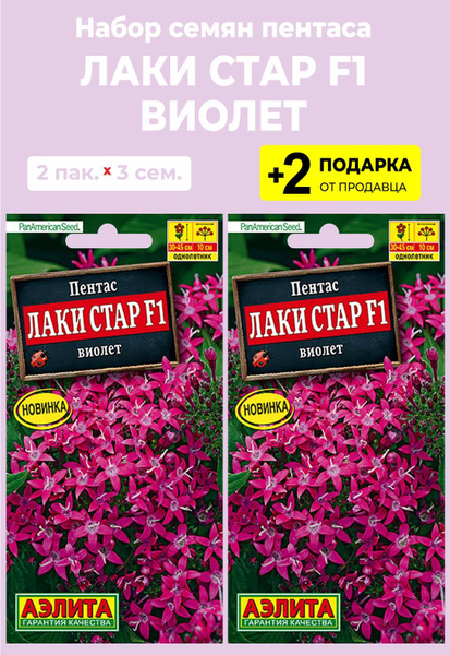 Пентас For Home And Family Лаки стар F1 Виолет_разноцветный - купить по ...