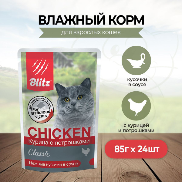 Blitz Cat Adult влажный корм для взрослых кошек с курицей и потрошками ...