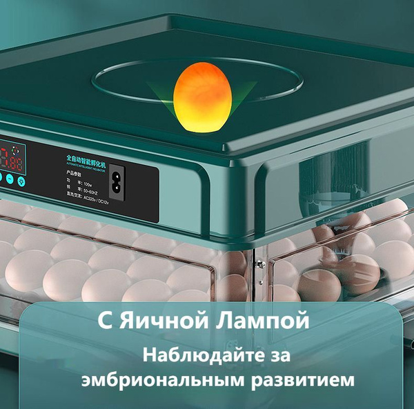 Инкубатор для яиц, 64 шт, Автоматический контроль температуры ...
