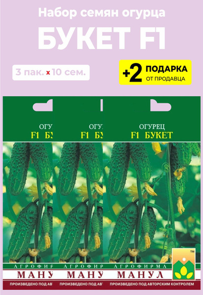 Семья Огурцовых
