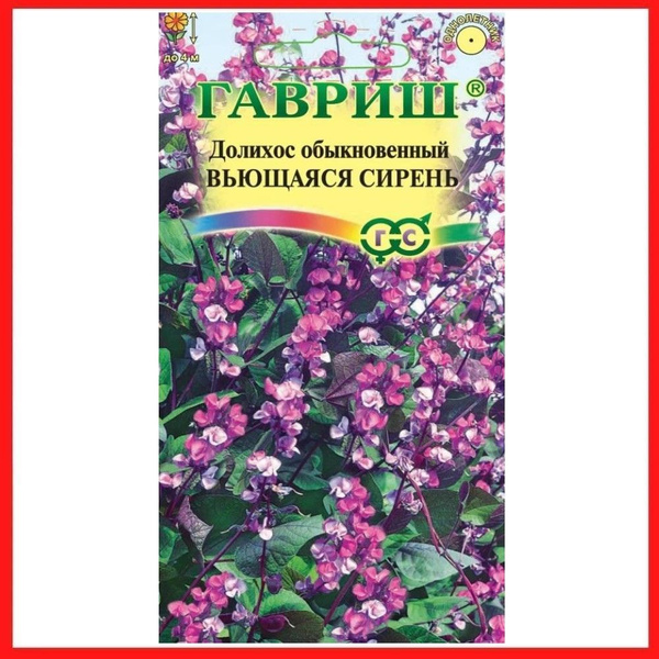 Долихос Гавриш Долихос "Вьющаяся сирень" - купить по выгодным ценам в ...