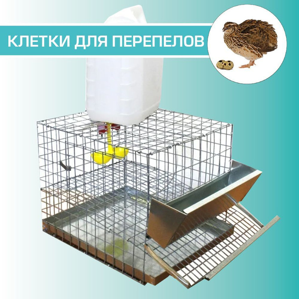 Клетка для перепелов на 7 голов Подворье - купить с доставкой по ...