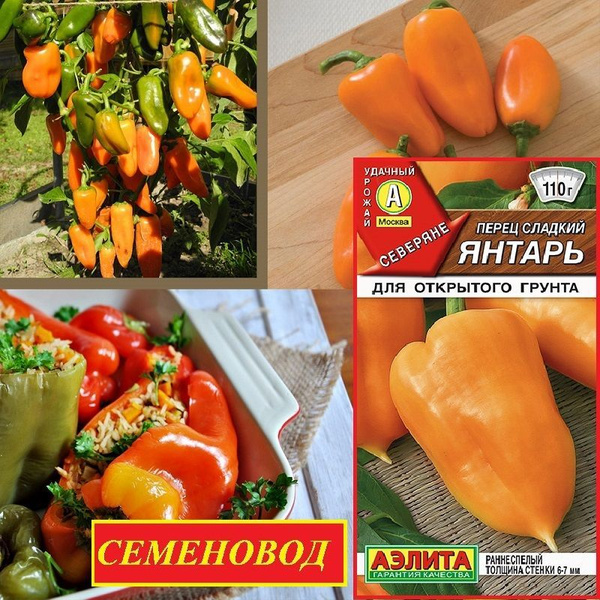 Перец сладкий Аэлита Перец. - купить по выгодным ценам в интернет ...