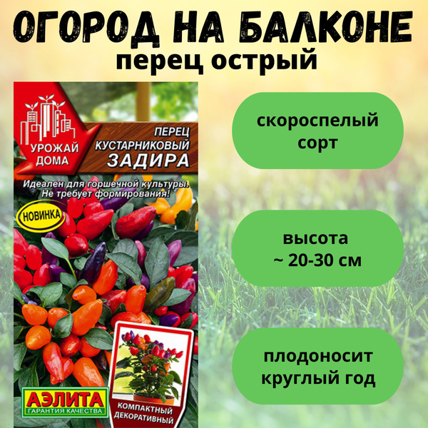 Перец острый Агрофирма Аэлита Перец сладкий - купить по выгодным ценам ...